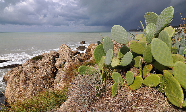 DSC_7568_2.jpg