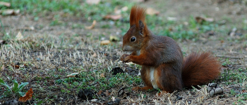 DSC_7589.JPG