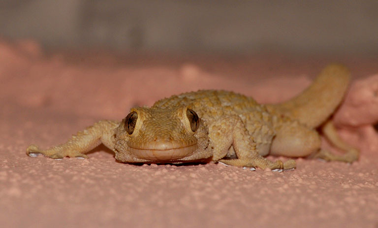 DSC_7606contrast.jpg