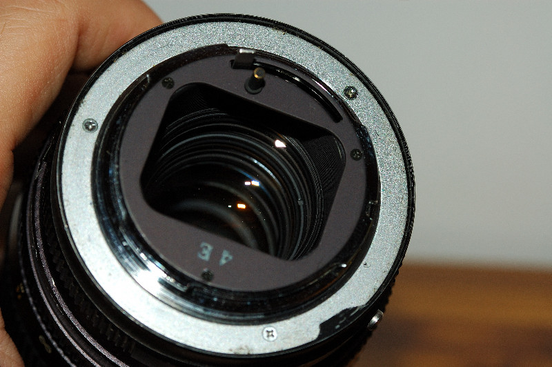 DSC_7657small.jpg