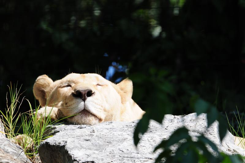 DSC_7666 m..JPG