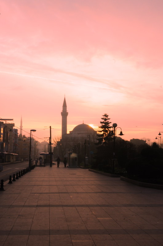 DSC_7733.jpg