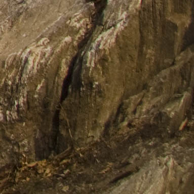 DSC_7742.jpg