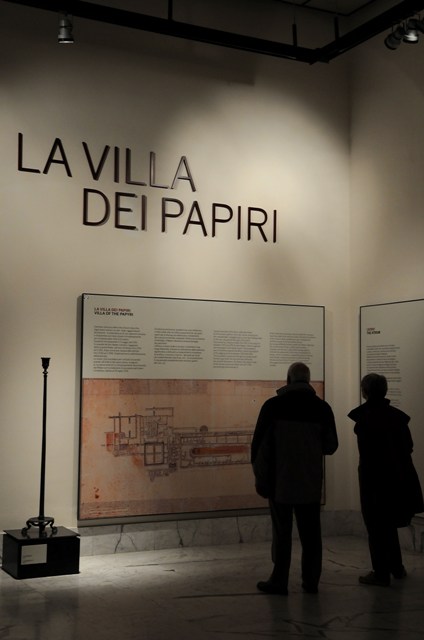 DSC_7744 - Copia.JPG