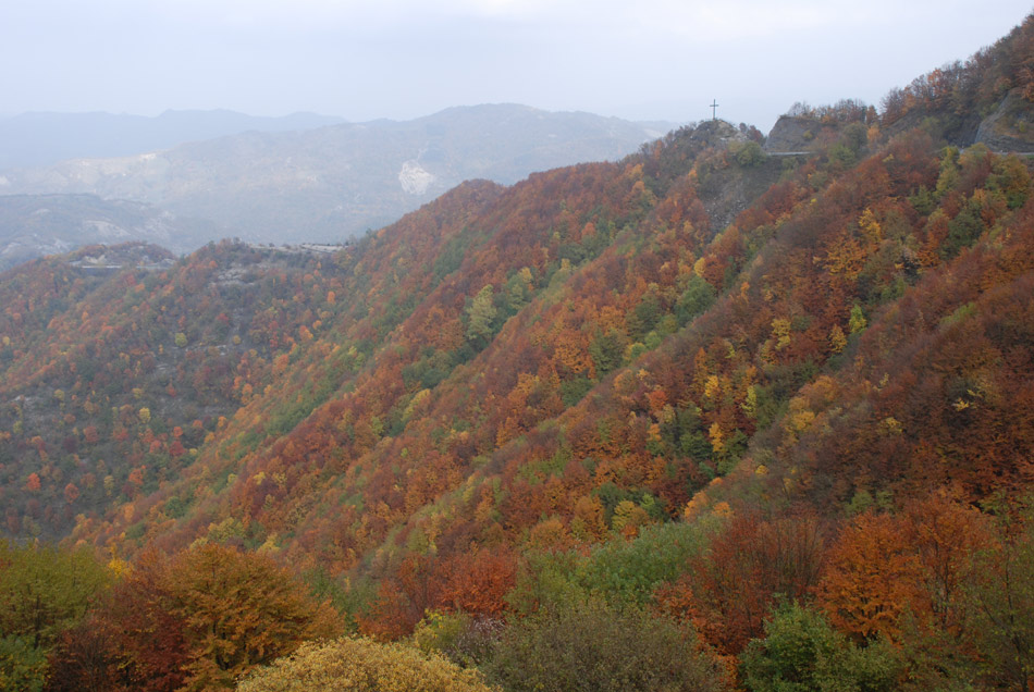 DSC_7764_ori_1.jpg