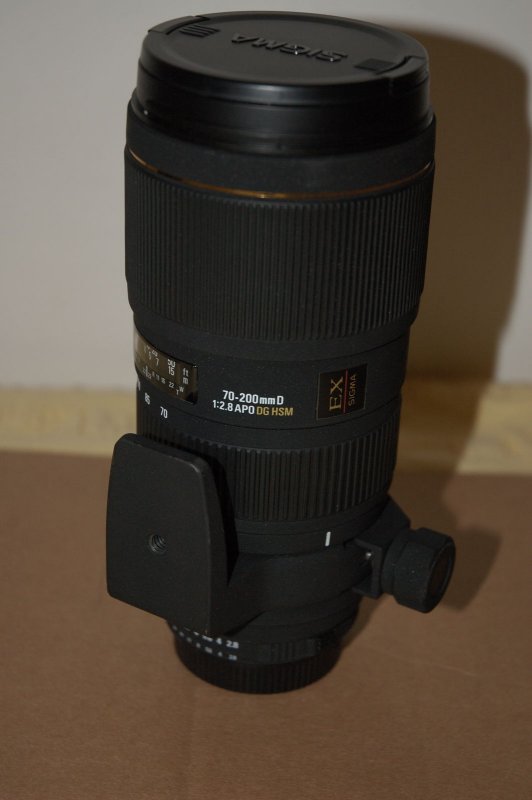 Dsc_7801_800.jpg
