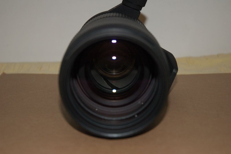 Dsc_7803_800.jpg
