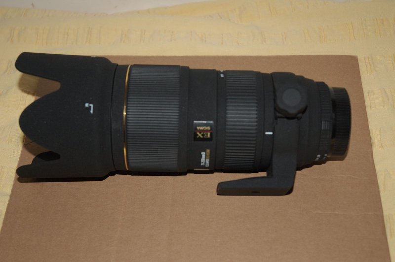 Dsc_7806_800.jpg