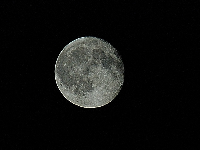 DSC_7815-180x14-luna.jpg