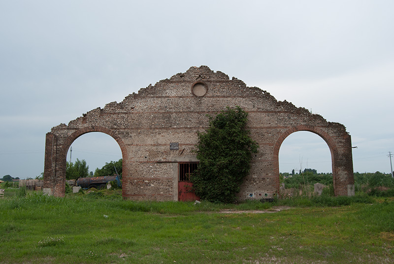 DSC_8036.jpg