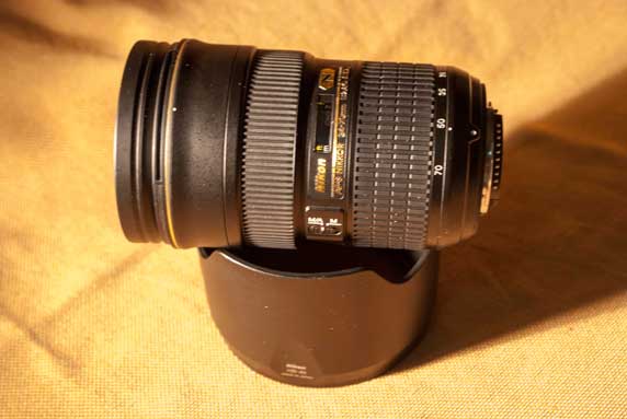 DSC_8050.jpg