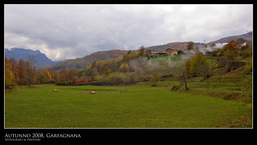 DSC_8120b-sat.jpg