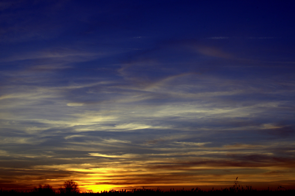 DSC_8148.NEF-2.jpg