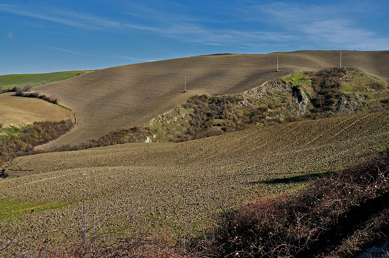 DSC_8204.jpg