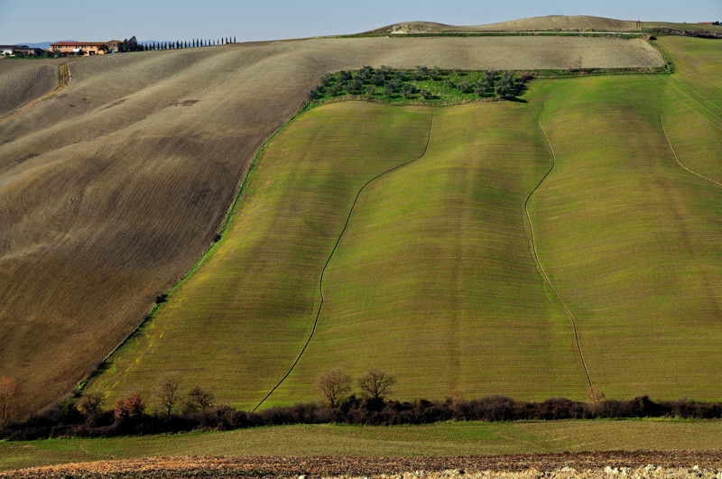 DSC_8217.jpg