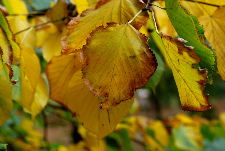 DSC_8363.jpg