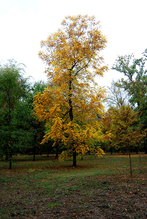 DSC_8397.jpg