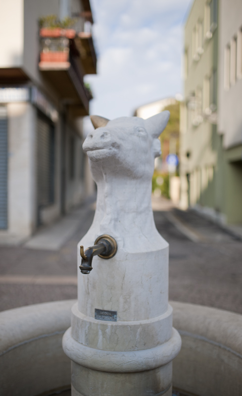 DSC_8544RITweb.jpg