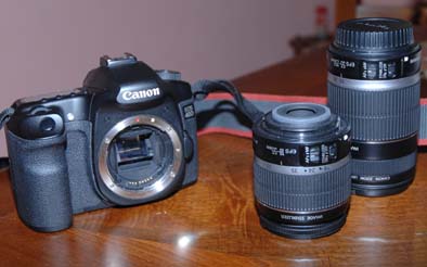 DSC_8616.JPG