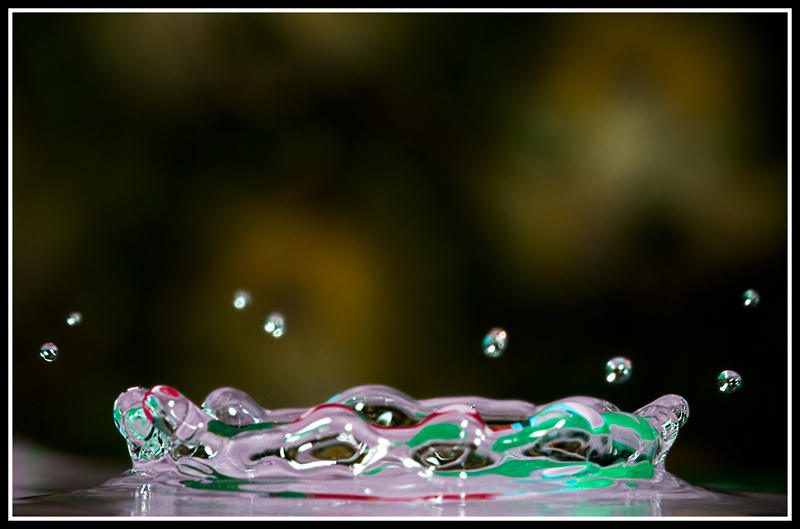 DSC_8652200.jpg