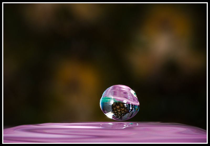 DSC_8665200.jpg