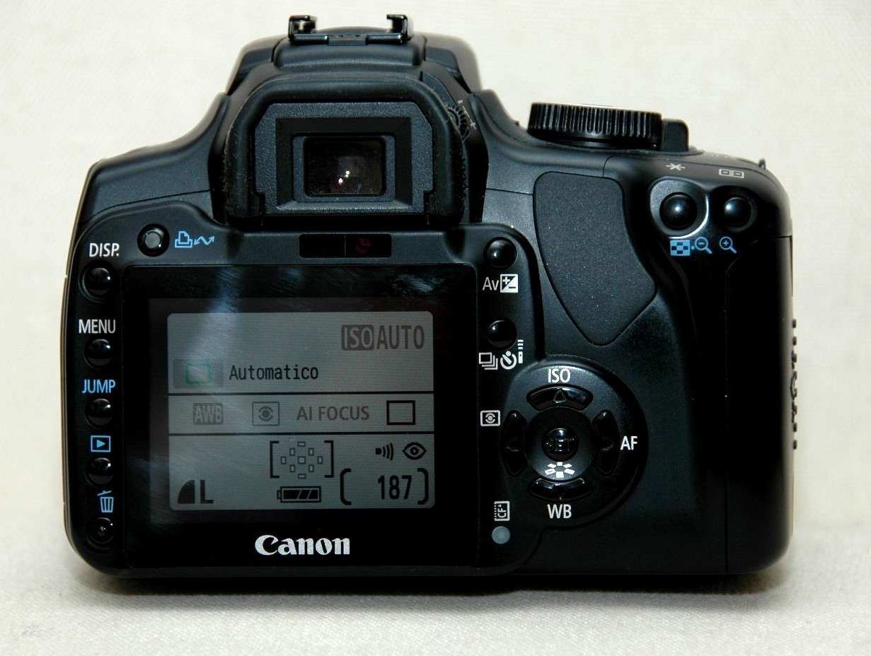 DSC_8678.JPG