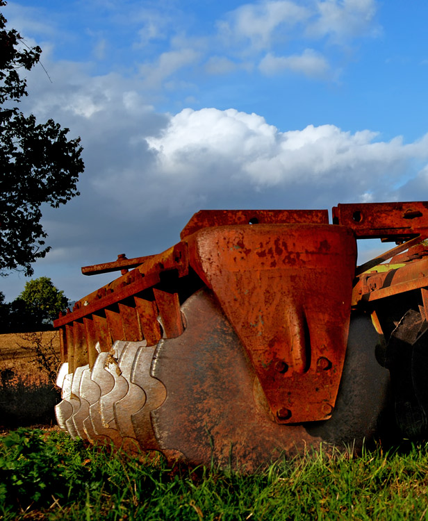 DSC_8684_3.jpg