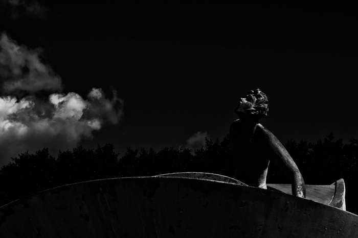 DSC_8692.jpg