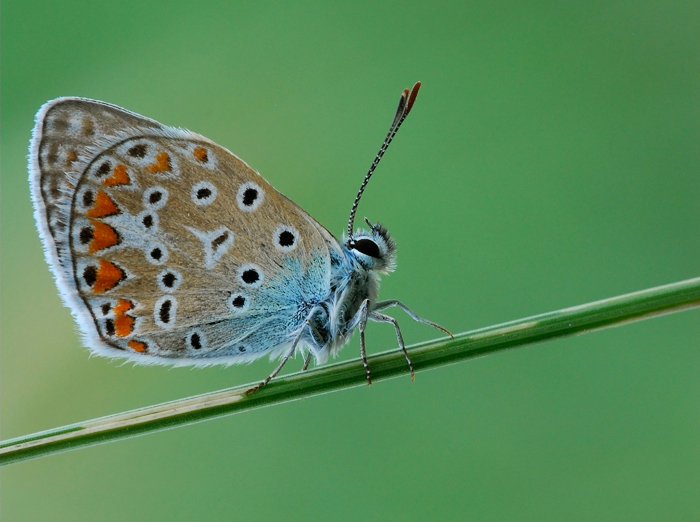 DSC_8807.jpg