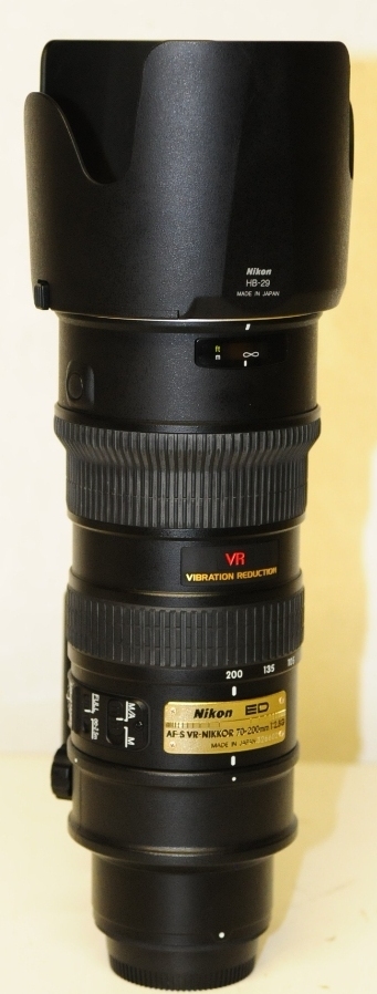 DSC_8817A.jpg