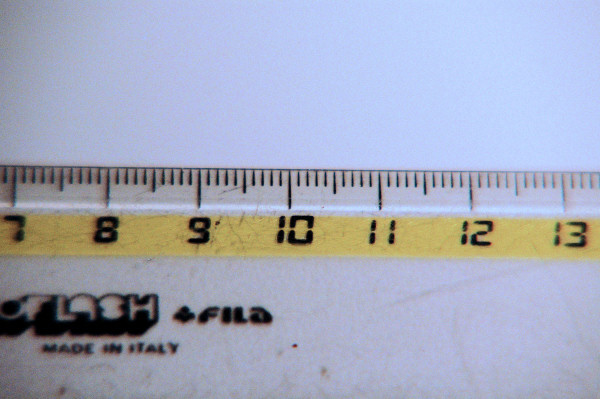 DSC_8956.JPG