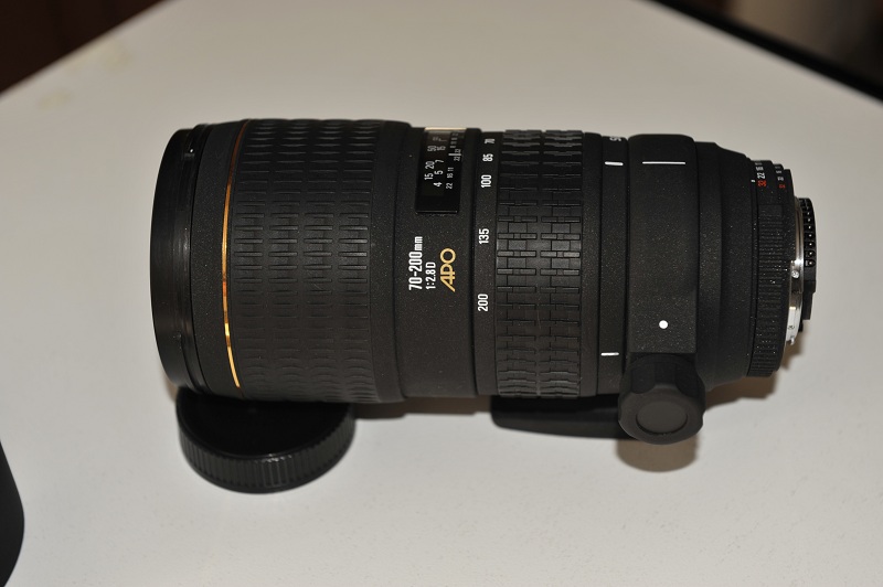 DSC_8986.JPG