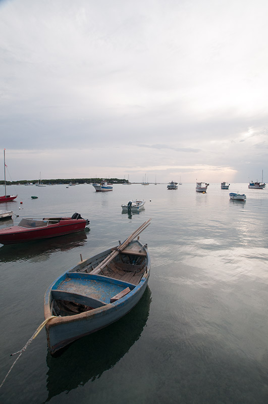 DSC_9023.jpg