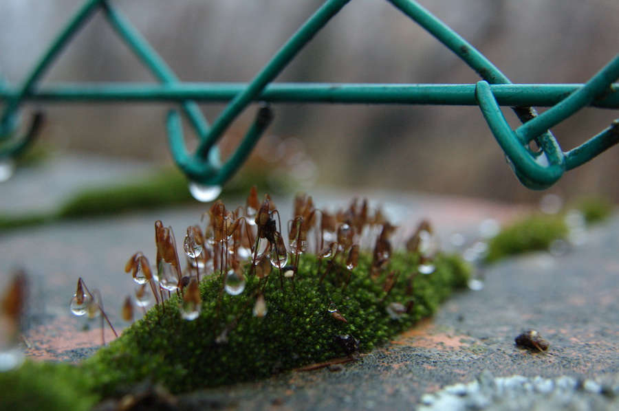 DSC_9025.jpg