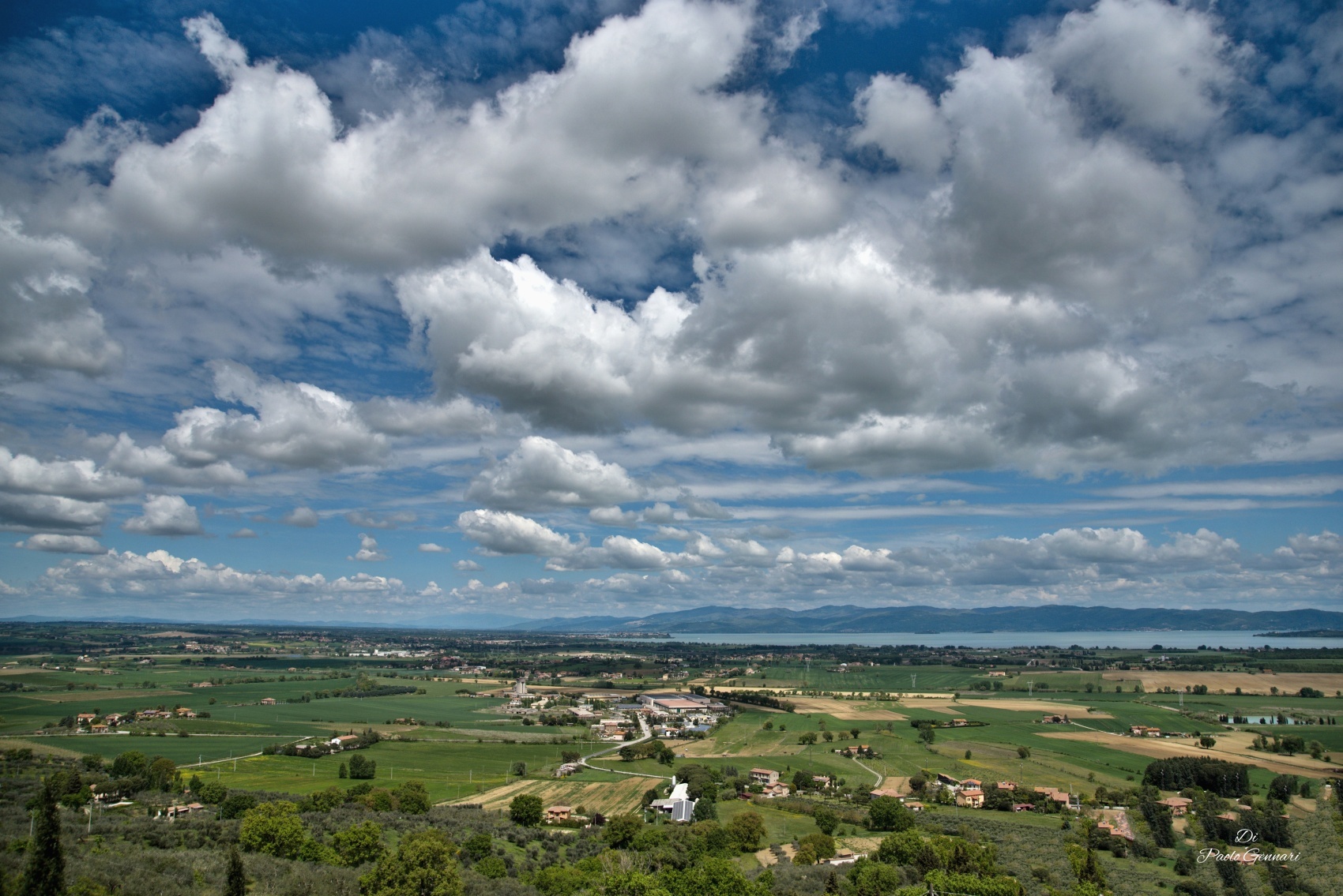 DSC_9044cc.jpg