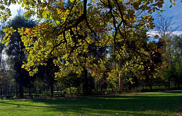 DSC_9300.jpg