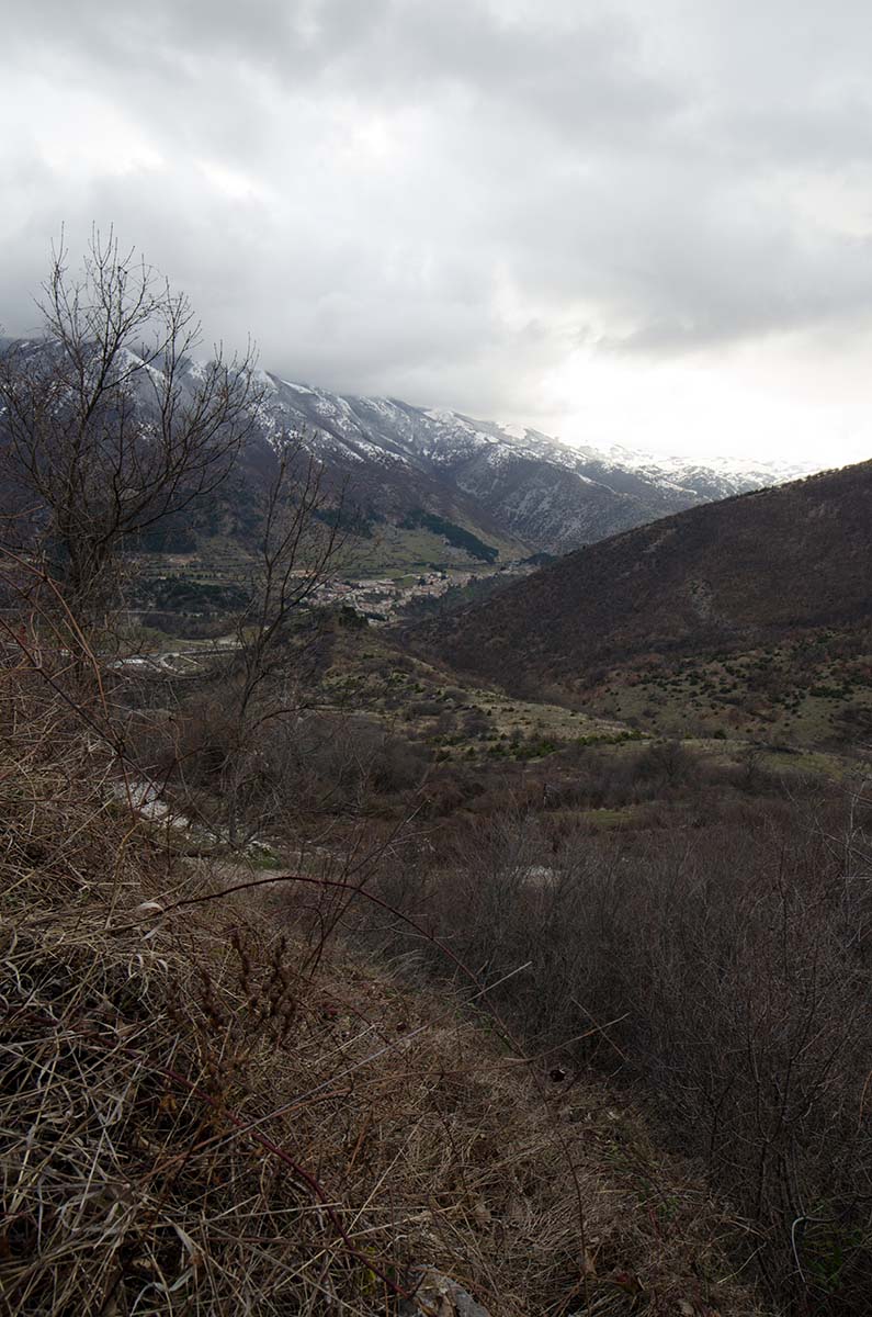 DSC_9322.jpg
