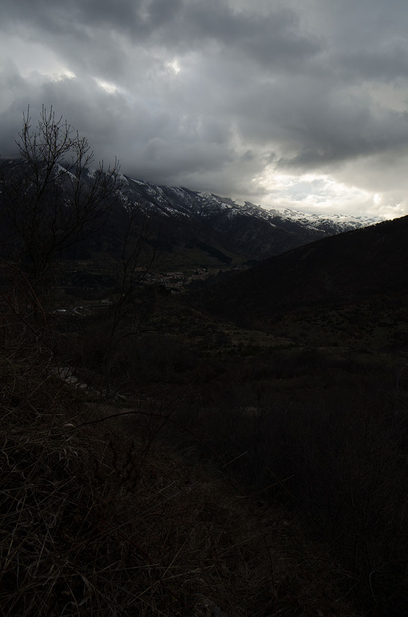 DSC_9323.jpg