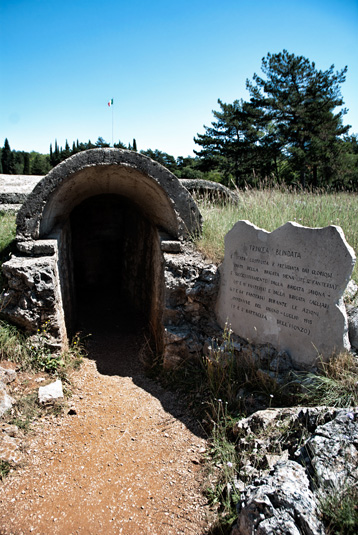 DSC_9384.jpg