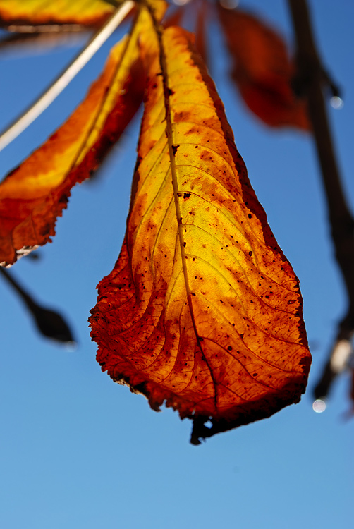 DSC_9415.jpg
