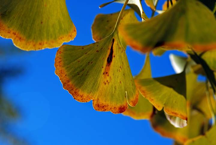 DSC_9426.jpg
