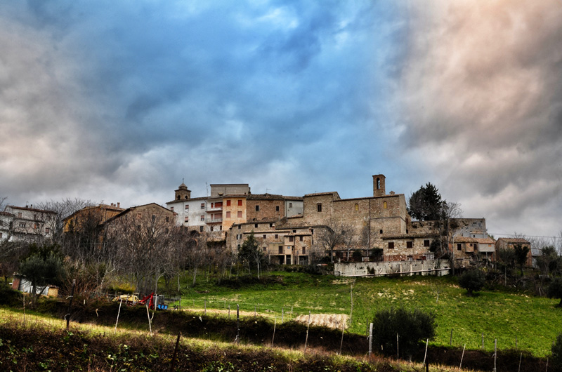 DSC_9450.jpg