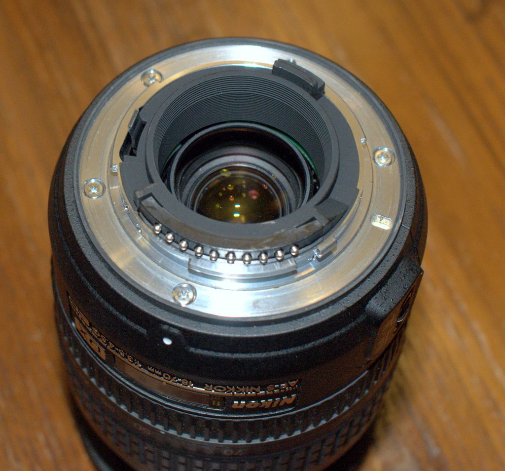 DSC_9575.NEF.jpg