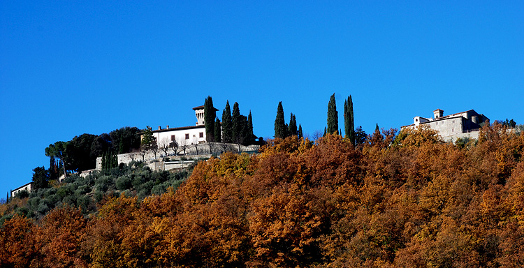 DSC_9653.jpg