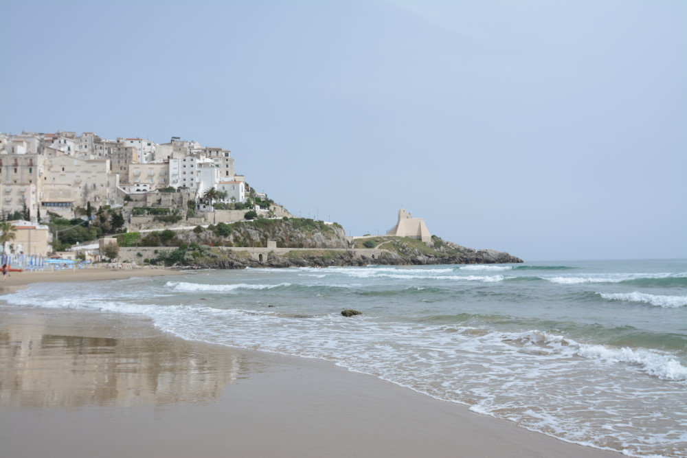 DSC_9683.JPG