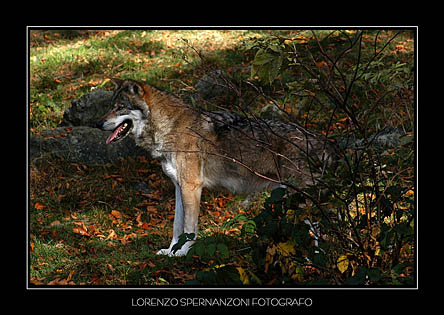 DSC_9690xx.jpg