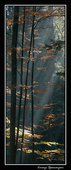 DSC_9826x.jpg