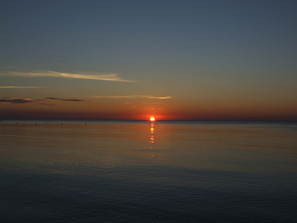 DSCF0001.jpg