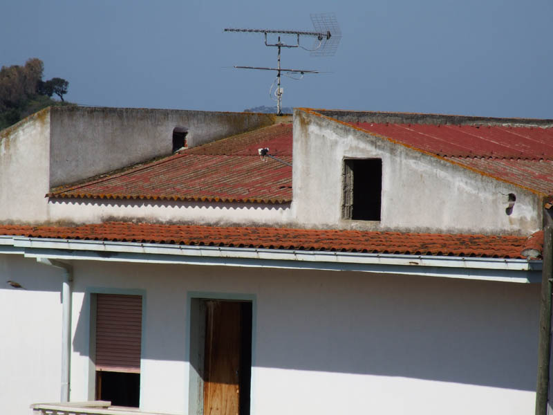 DSCF0001 copia.jpg