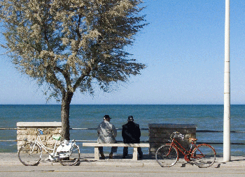 DSCF0003.gif
